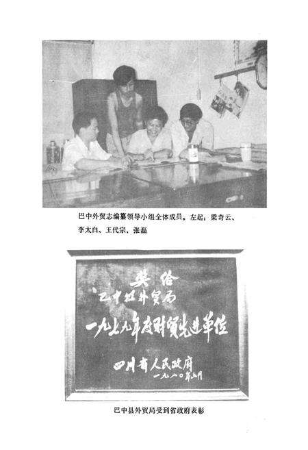 《巴中外贸志》.pdf电子版_四川省志预览图1