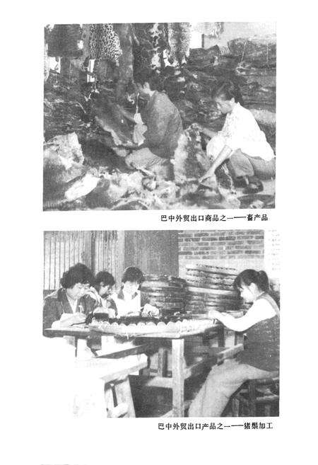 《巴中外贸志》.pdf电子版_四川省志预览图5