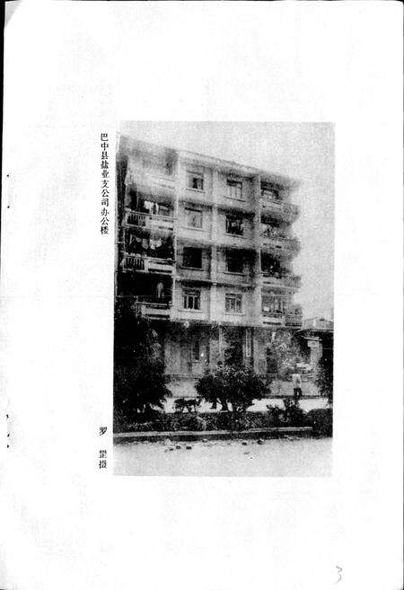 《巴中县盐业志》.pdf电子版_四川省志预览图3