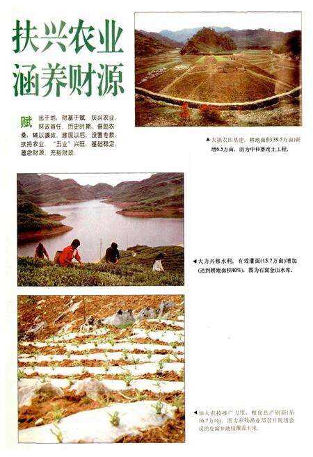 《万源县财政志》.pdf电子版_四川省志预览图3