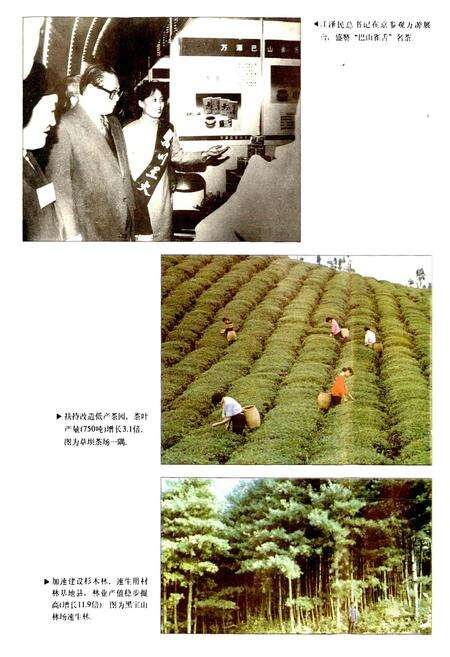 《万源县财政志》.pdf电子版_四川省志预览图5