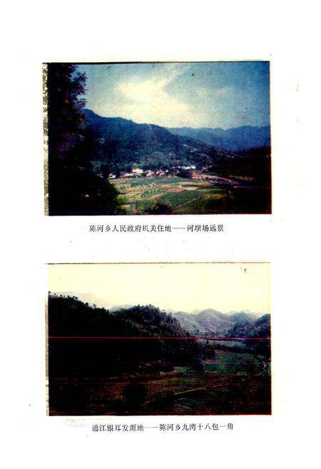 《陈河乡志》.pdf电子版_四川省志预览图4