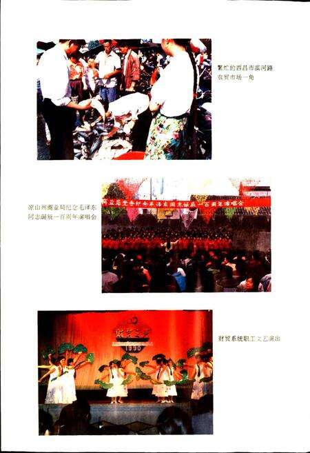 《凉山彝族自治州商贸志》.pdf电子版_四川省志预览图4