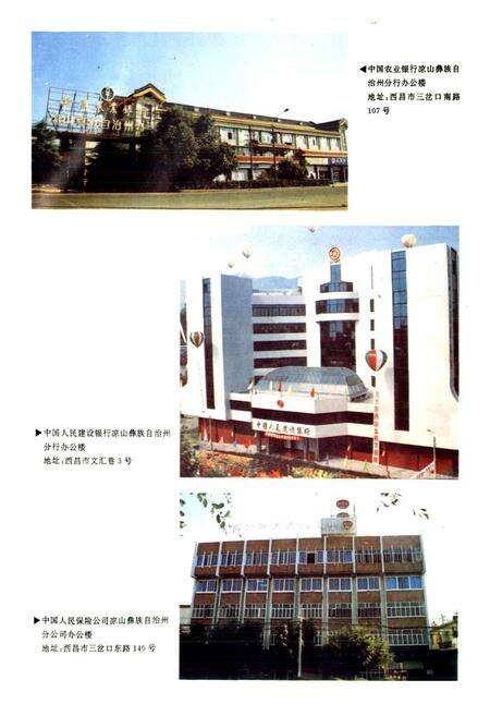 《凉山彝族自治州金融志》.pdf电子版_四川省志预览图4