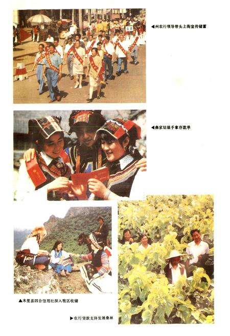 《凉山彝族自治州金融志》.pdf电子版_四川省志预览图5