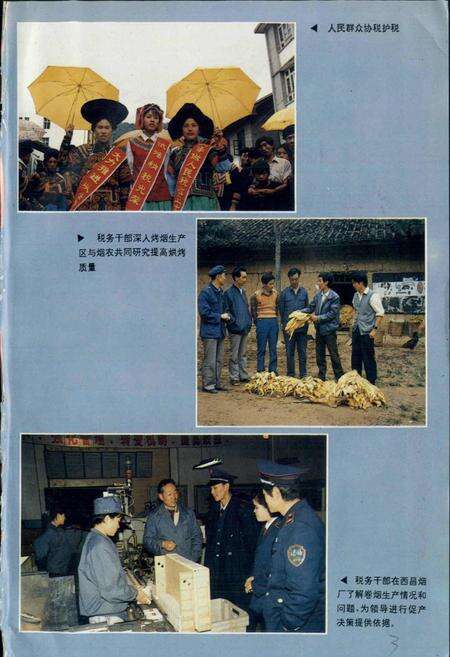 《凉山彝族自治州税务志》.pdf电子版_四川省志预览图5