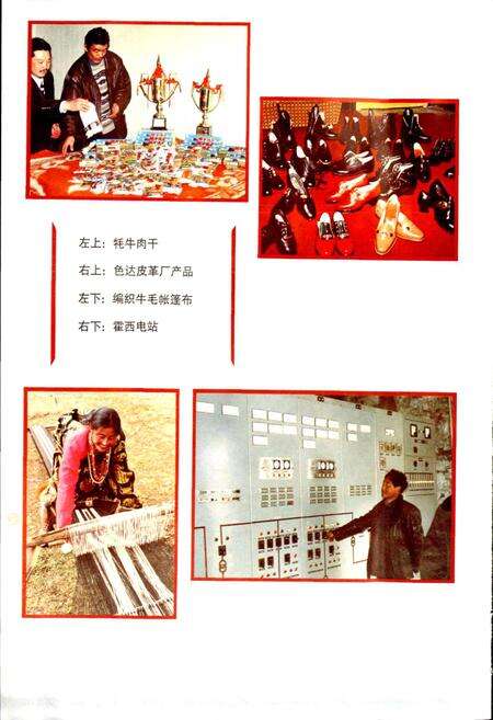 《色达县志》.pdf电子版_四川省志预览图5