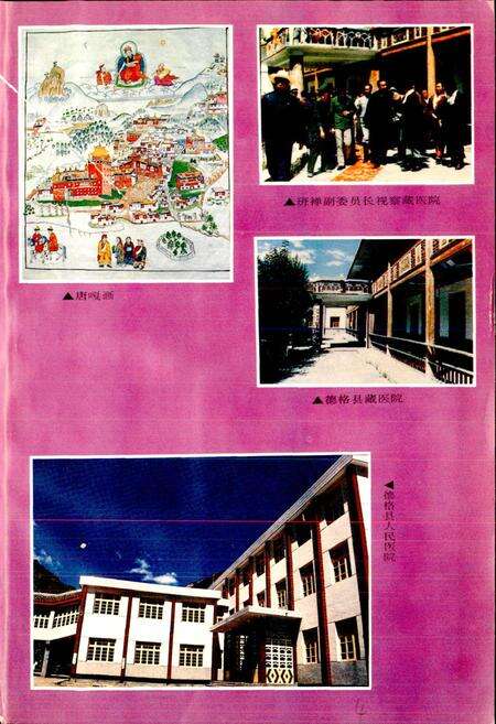 《德格县志》.pdf电子版_四川省志预览图4