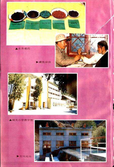 《德格县志》.pdf电子版_四川省志预览图5