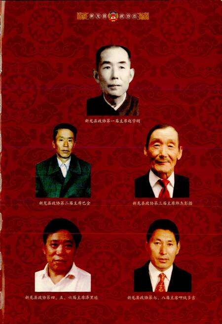 《新龙县政协志》.pdf电子版_四川省志预览图5