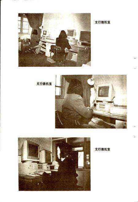 《新龙支行行志》.pdf电子版_四川省志预览图4