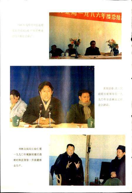 《美姑县林业志》.pdf电子版_四川省志预览图4