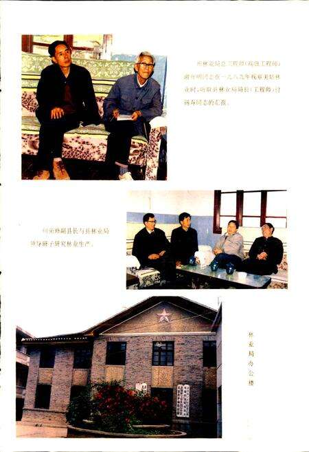 《美姑县林业志》.pdf电子版_四川省志预览图5