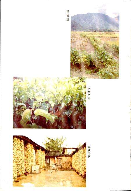 《冕宁县农业志》.pdf电子版_四川省志预览图5