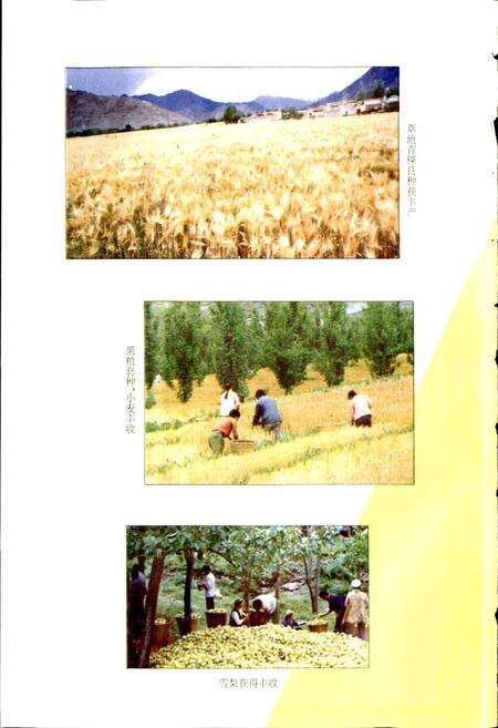 《阿坝州志 中册》.pdf电子版_四川省志预览图5