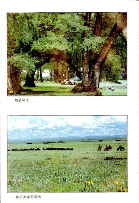 《若尔盖县计划经济志》.pdf电子版_四川省志预览图5