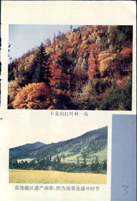 《嘉绒藏族史志》.pdf电子版_四川省志预览图4