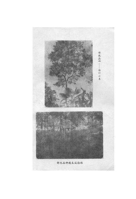 《芦山县生漆志》.pdf电子版_四川省志预览图2