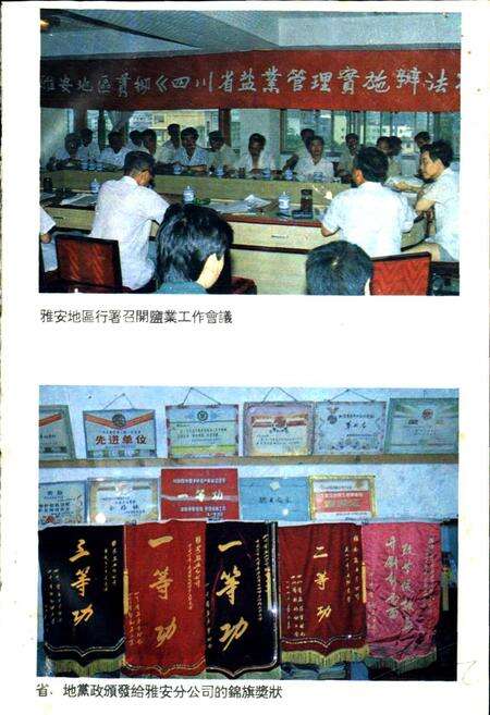 《雅安地区盐业志》.pdf电子版_四川省志预览图5