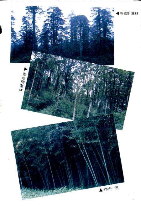 《雅安地区林业志》.pdf电子版_四川省志预览图5