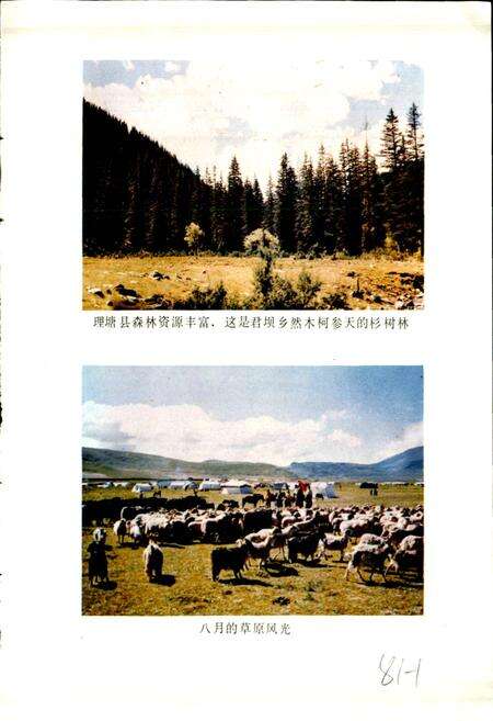 《四川省甘孜藏族自治州理塘县地名录》.pdf电子版_四川省志预览图5