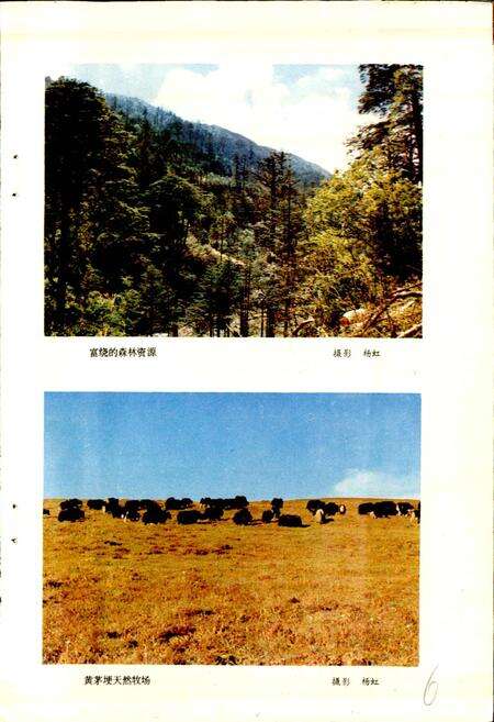 《四川省凉山彝族自治州美姑县地名录》.pdf电子版_四川省志预览图5