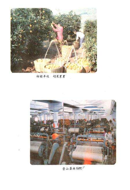 《四川省营山县地名录》.pdf电子版_四川省志预览图3