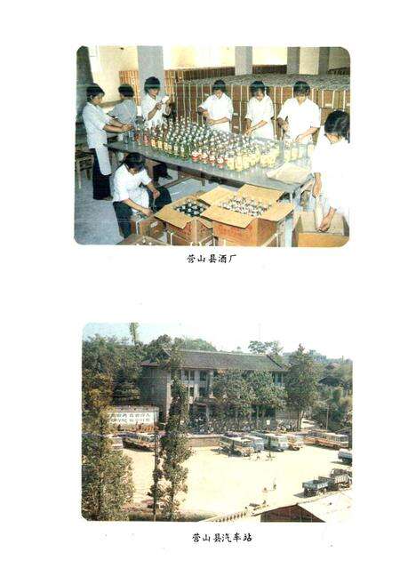 《四川省营山县地名录》.pdf电子版_四川省志预览图4