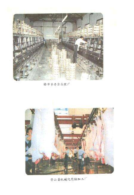 《四川省营山县地名录》.pdf电子版_四川省志预览图5