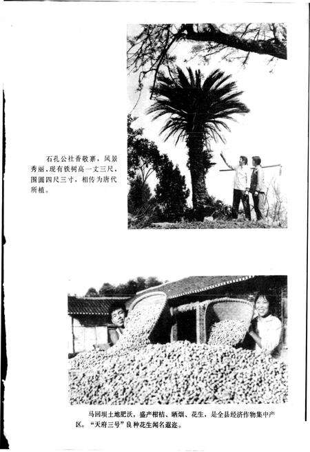 《四川省蓬安县地名录》.pdf电子版_四川省志预览图5