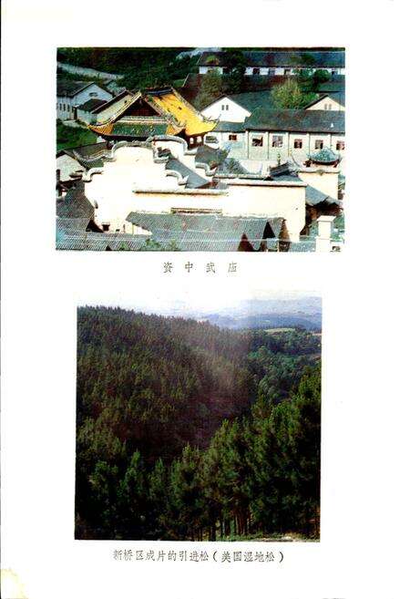 《四川省资中县地名录》.pdf电子版_四川省志预览图3