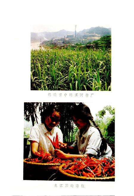 《四川省资中县地名录》.pdf电子版_四川省志预览图4