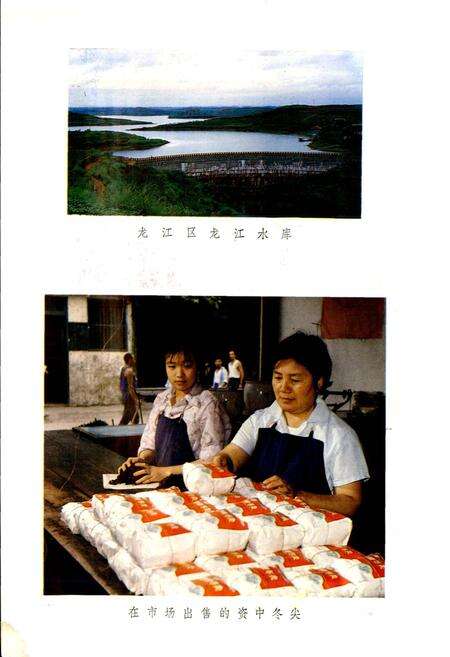 《四川省资中县地名录》.pdf电子版_四川省志预览图5