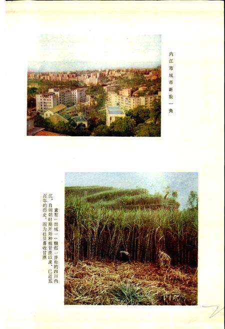 《四川省内江地区内江市地名录》.pdf电子版_四川省志预览图2