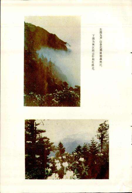 《四川省芦山县地名录》.pdf电子版_四川省志预览图5