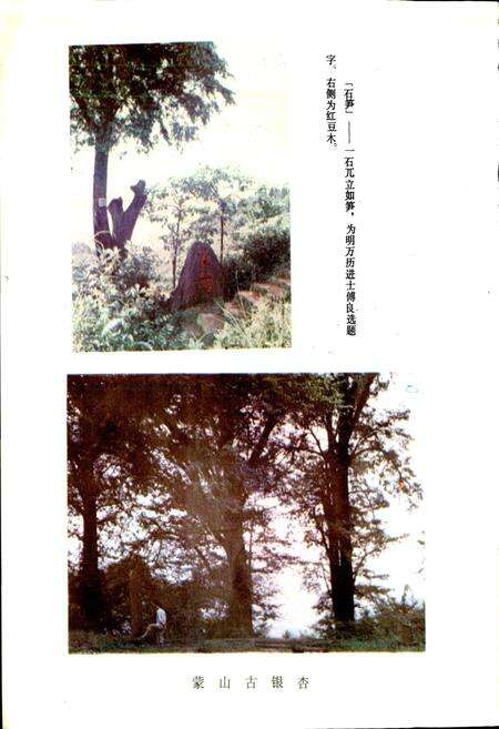 《四川省名山县地名录》.pdf电子版_四川省志预览图3