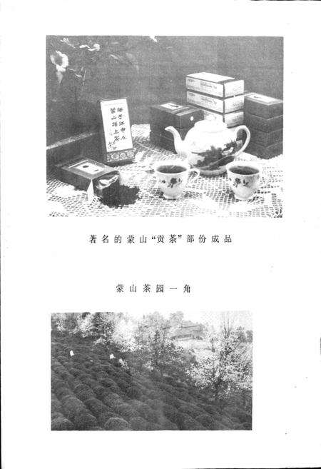 《四川省名山县地名录》.pdf电子版_四川省志预览图5