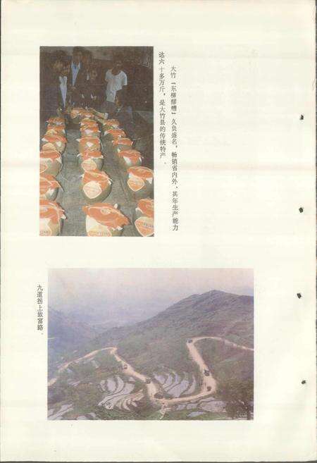 《四川省大竹县地名录》.pdf电子版_四川省志预览图5