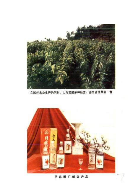 《四川省平昌县地名录》.pdf电子版_四川省志预览图4