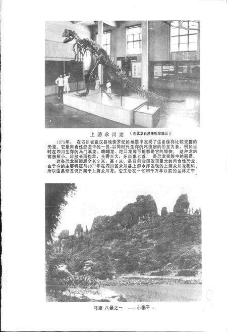 《四川省宣汉县地名录》.pdf电子版_四川省志预览图4