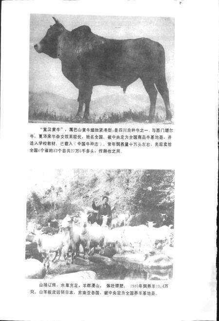 《四川省宣汉县地名录》.pdf电子版_四川省志预览图5