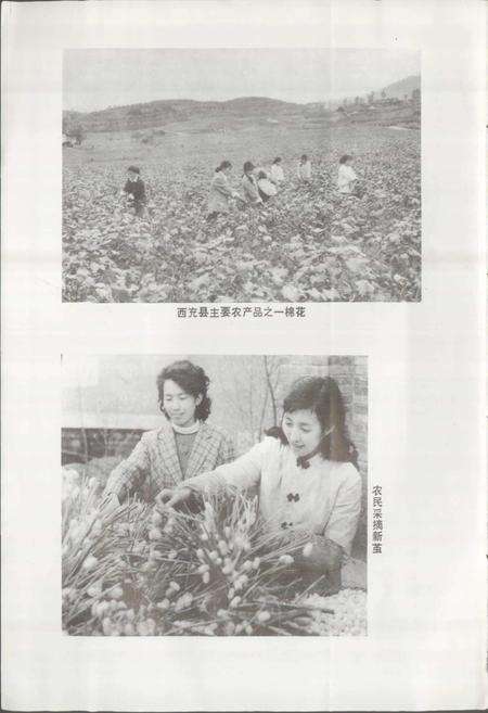 《四川省西充县地名录》.pdf电子版_四川省志预览图3