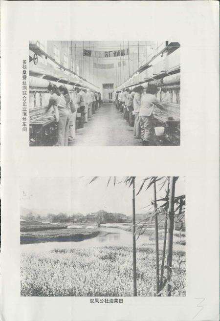 《四川省西充县地名录》.pdf电子版_四川省志预览图4