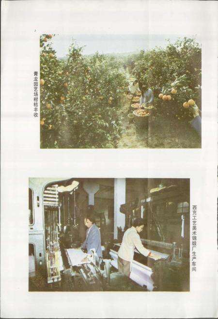 《四川省西充县地名录》.pdf电子版_四川省志预览图5