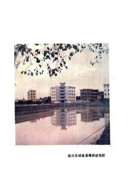 《四川省隆昌县地名录》.pdf电子版_四川省志预览图2