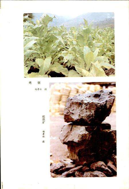 《四川省兴文县地名录》.pdf电子版_四川省志预览图4