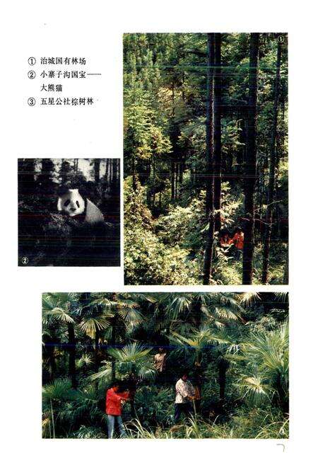 《四川省北川县地名录》.pdf电子版_四川省志预览图2