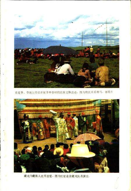 《四川省若尔盖县地名录》.pdf电子版_四川省志预览图2