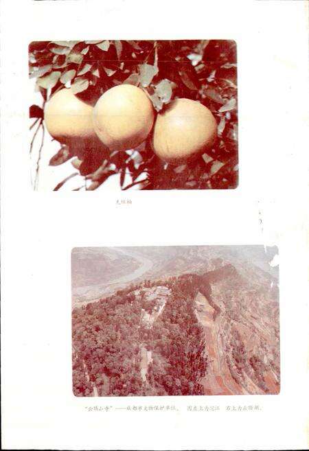 《四川省金堂县地名录》.pdf电子版_四川省志预览图5