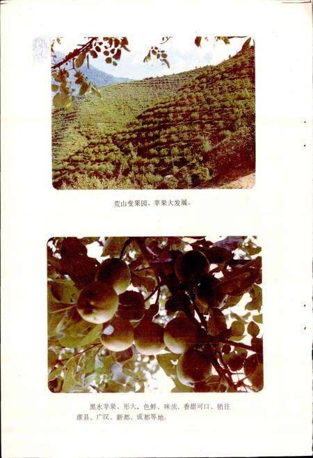 《四川省阿坝藏族自治州黑水县地名录》.pdf电子版_四川省志预览图3